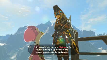 Talk to Molli (BotW) - The Bird in the Mountains