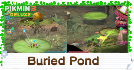 Buried Pond Banner Image