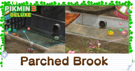 Parched Brook Banner Image