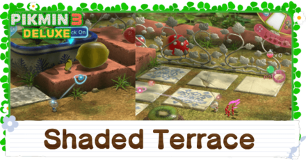 Shaded Terrace Banner Image