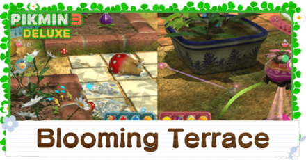 Blooming Terrace Banner Image