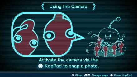 Using the Camera Image
