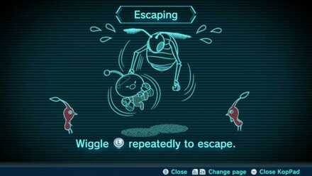Escaping Image