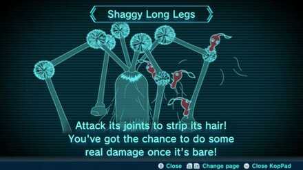 Shaggy Long Legs Image
