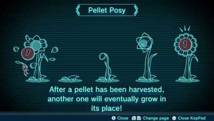 Pellet Posy Image
