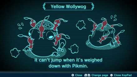 Yellow Wollywog Image