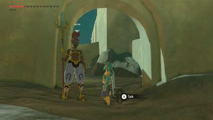 Talk to Laine (BotW) - The Silent Swordswomen