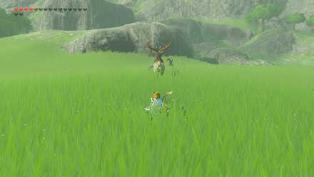 Find a Mountain Buck (BotW) - The Crowned Beast