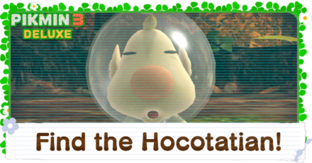 Find the Hocotatian!.png