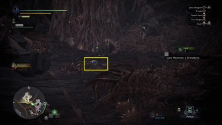 Plunderer in Odogaron