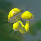 Zapshroom Icon