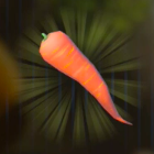 Swift Carrot Icon