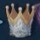 Crown of Insight.jpg