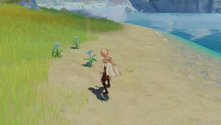 Genshin - Solitary Fragrance Walkthrough - Search for Wild Glaze Lilies