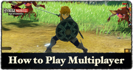 hyrule warrior multiplayer