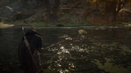 ACV - Caught Fish.png