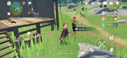 Unknown Star_Joyce.jpg