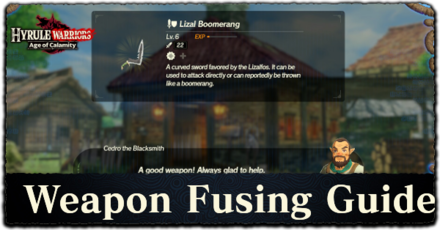 Weapon Fusion Guide