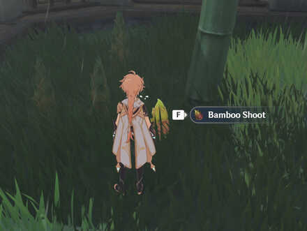 Genshin_Impact_Bamboo_Shoot.jpg