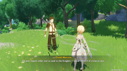 Genshin - Contingencies - Report back to Timid Morrow