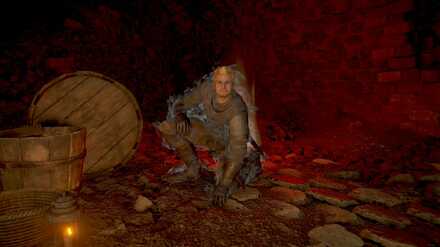 The Tunnel City  Demons Souls Wiki