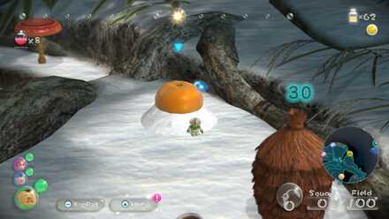 Citrus Lump How to Obtain #3.jpeg