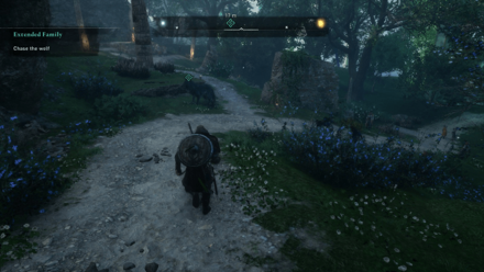 Extended Family - Chase the wolf.png