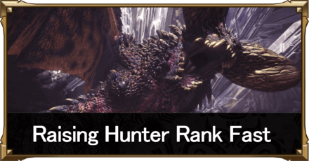 how to raise hunter rank fast top image.png