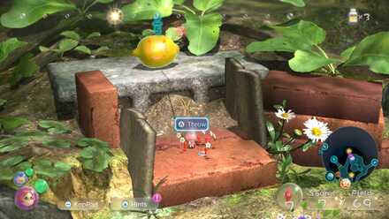 Face Wrinkler #1.jpeg