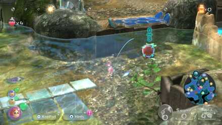 Sunseed Berry #4.jpg