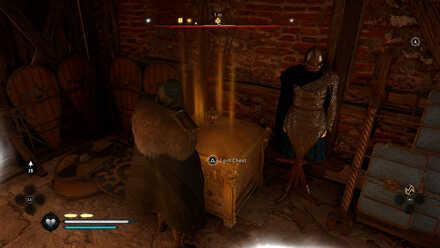 Galloglach Trousers Overworld View.png