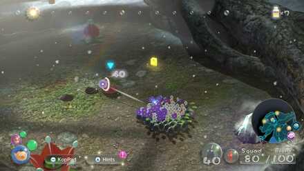 Sunseed Berry #4.jpeg