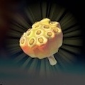 Fleet-Lotus Seeds Icon