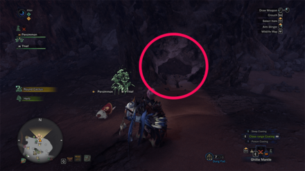 Wildspire Waste - Northeast Camp.png