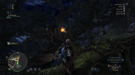 Ancient Forest - Ancient Forest Camp.png