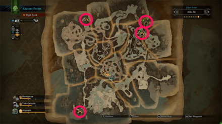 Ancient Forest Camp Locations.png