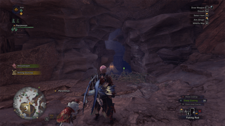 Wildspire Waste - Central Camp.png