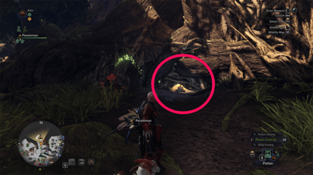 Ancient Forest - Northwest Camp.png