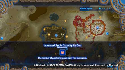 How to Use Korok Seeds