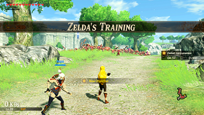 Terrako - Zelda Wiki  Legend of zelda, Zelda hyrule warriors