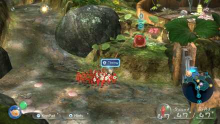 Sunseed Berry #1.jpeg