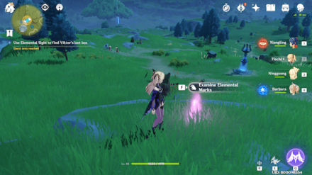 Genshin - A Mysterious Loss - Find the first trace close to the Teleport Waypoint