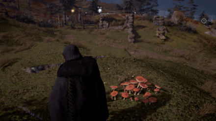 Fly Agaric Overworld View.png