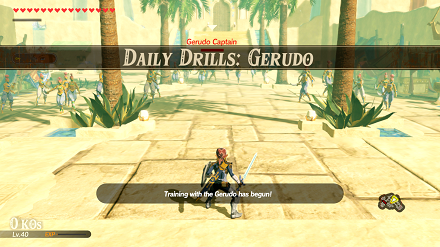 Daily Drills: Gerudo Banner