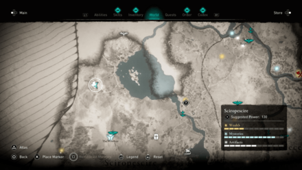 Tattoo Design
 Map View.png