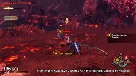 Controlled Guardian.jpg