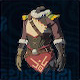 Snowquill Tunic Icon