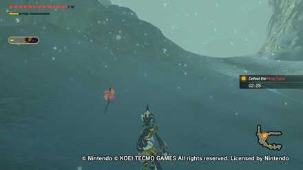 Anti-Ice Training: II Korok Seed Locations