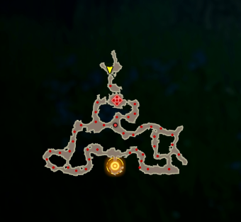 Escape the Lost Woods Map