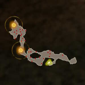 Hair-Width Trial Expert+ Korok Seeds Map